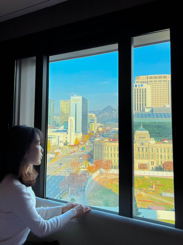 시청뷰를 한눈에 볼 수 있는 더플라자호텔🏨