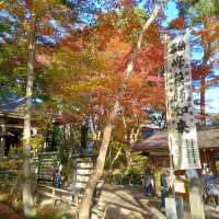 岩手県！世界遺産【平泉】中尊寺圧巻の紅葉