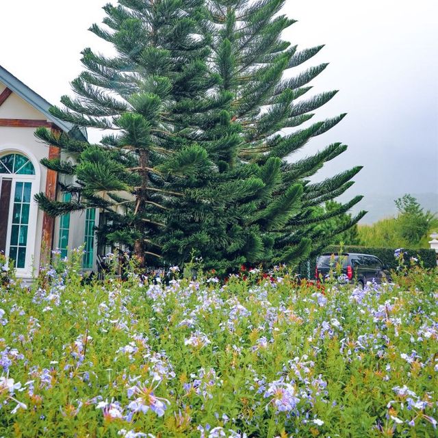 The Blue Sky Resort  ที่พักหรู บรรยากาศอังกฤษ
