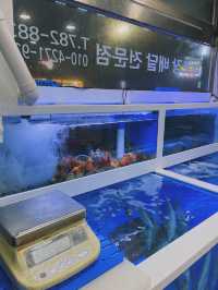 함덕에서 가장 유명한 포장 횟집 🍽️ 선우수산