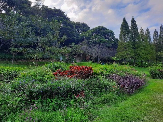 【桃園】下午茶聚餐-春天農場