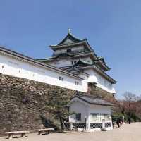 wakayama castle