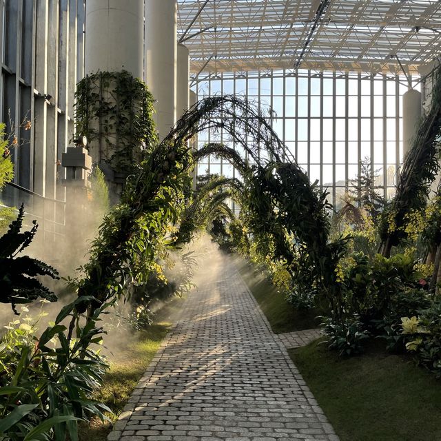 淡路島の植物散策
