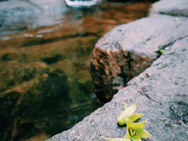 อุทยานแห่งชาตินำ้ตกพลิ้ว จันทบุรี