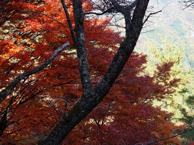 【甲府】昇仙峡