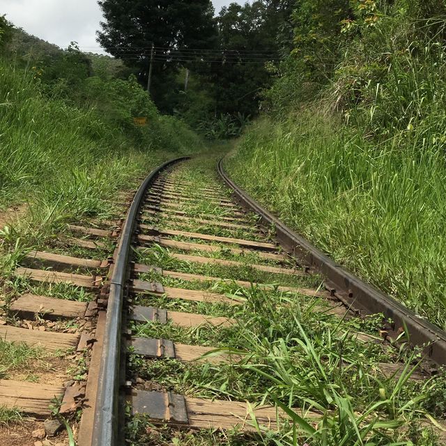 the scenic train ride Nanu Ota-Elle