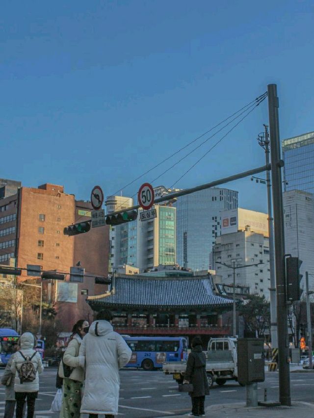 [서울, 종로] 스트레스 풀기 위해, 사진 찍는다.