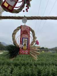 元朗信芯園重開，全新嘅日本🇯🇵主題打卡勝地