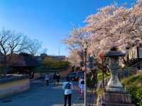 京都　京都散策旅！ねねの道から清水寺まで散策してみた！