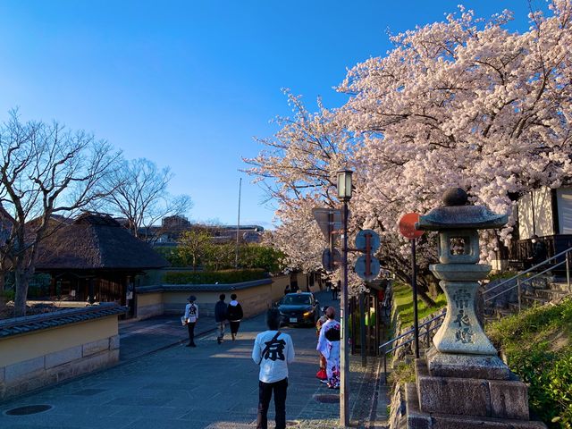 京都　京都散策旅！ねねの道から清水寺まで散策してみた！