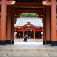 【兵庫県 神戸市】歴史ある生田神社✨✨