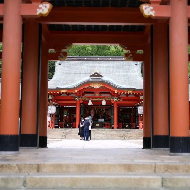 【兵庫県 神戸市】歴史ある生田神社✨✨