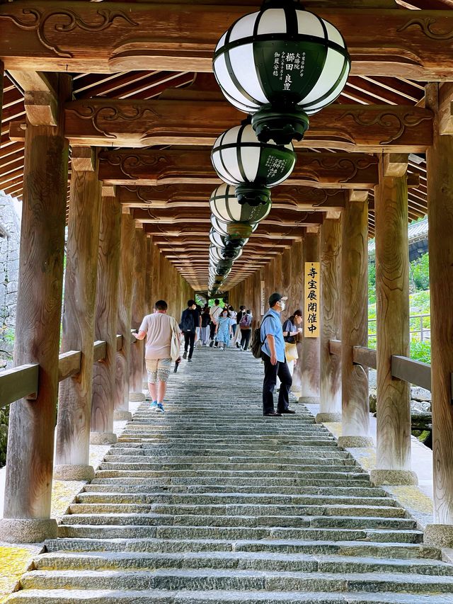「長谷寺」の「紫陽花回廊」in 奈良