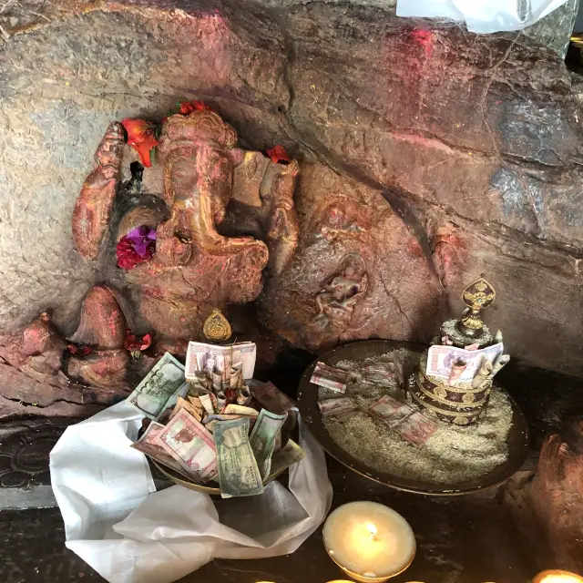 大自然神奇的力量