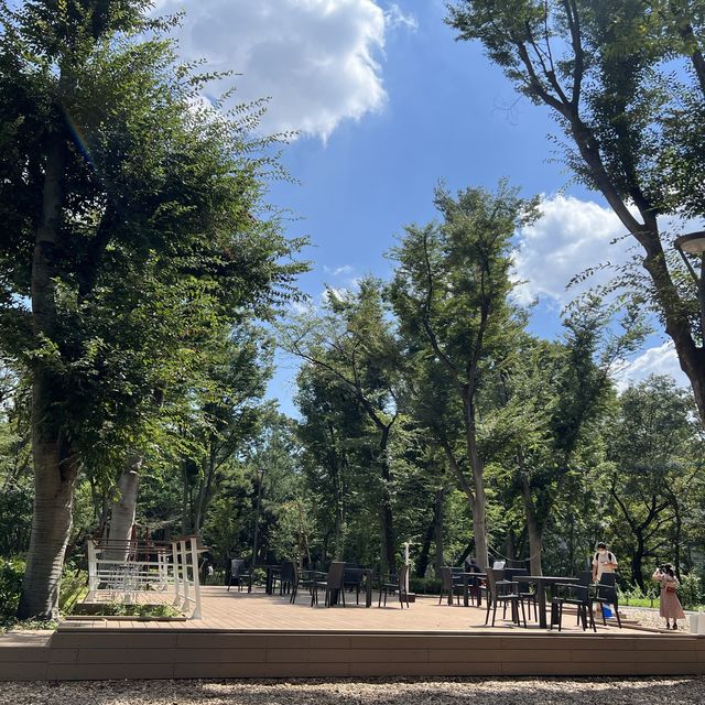 【新宿中央公園〜都会に広がる緑のオアシス〜】