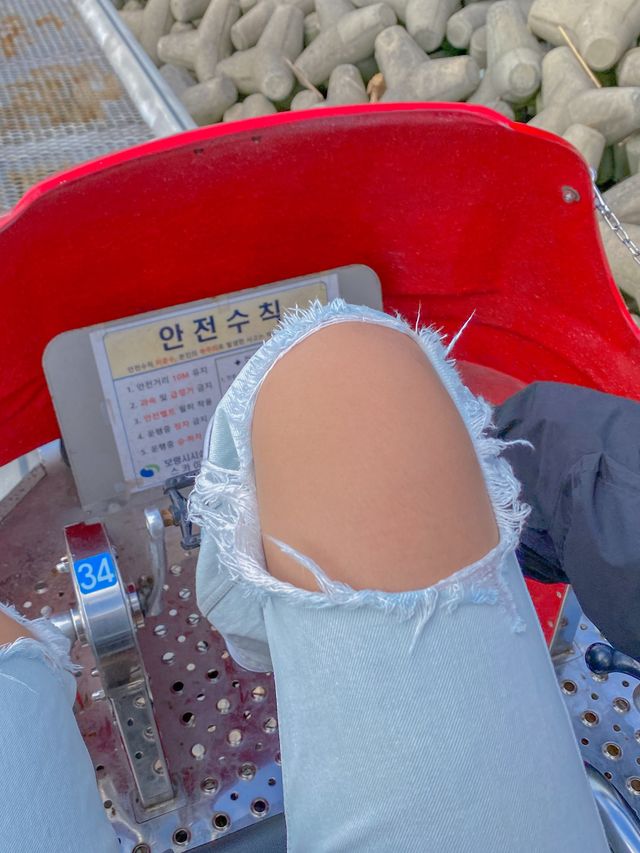 🚲대천 해수욕장 스카이바이크🚲
