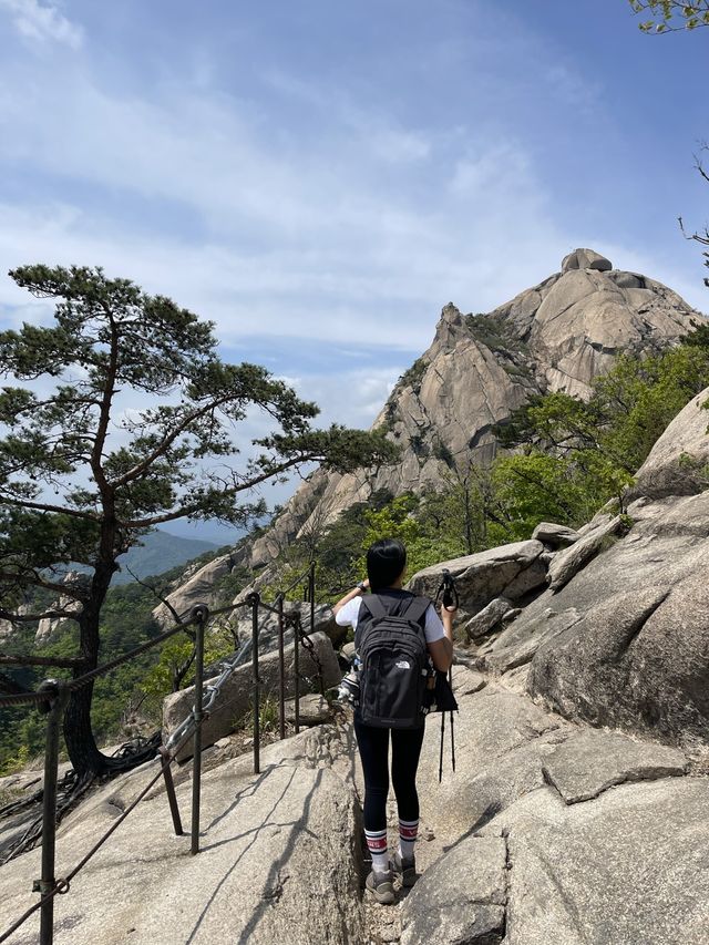 [서울]서울에서 가장 높은 곳에서 피크닉하기❣️