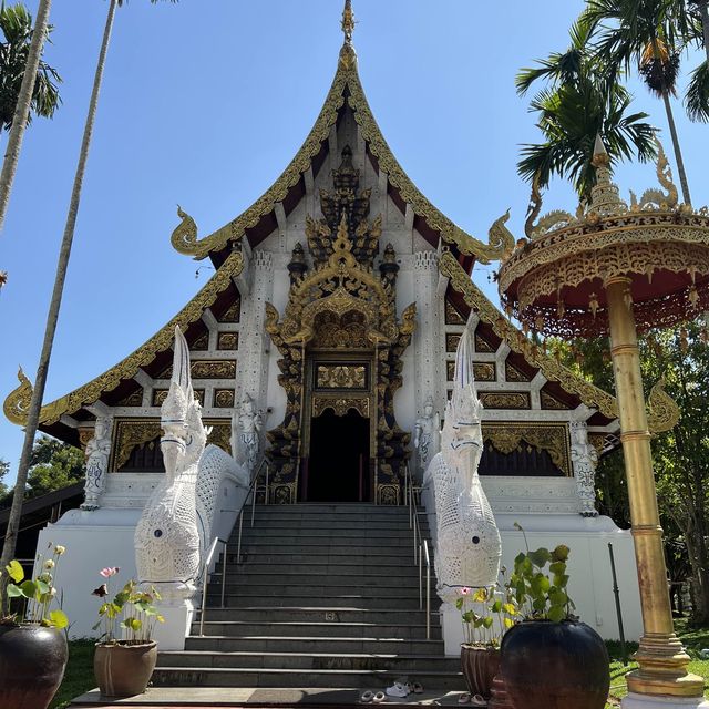 เที่ยววัดสวยที่ อ.แม่ริม