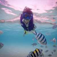 ชู~วี~ดู~วา จะพาเธอไปดำน้ำดู ปลาการ์ตูน 🐠
