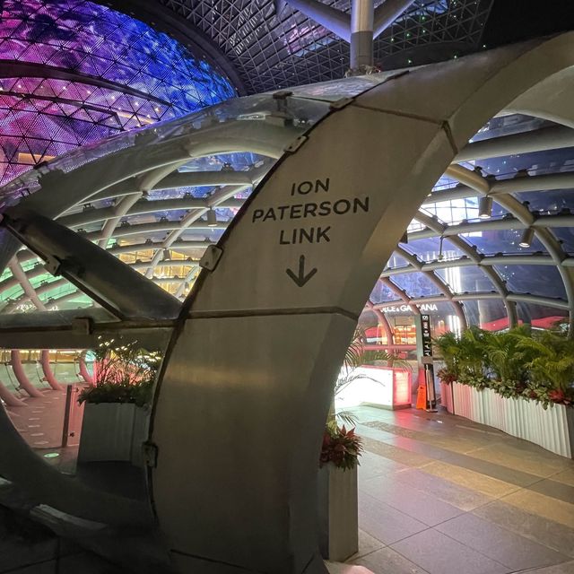 Ion Orchard designs