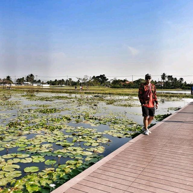 ที่เที่ยวสไตล์ธรรมชาติ ดื่มด่ำบรรยากาศสุดฟิน 
