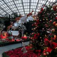 Christmas @ Flower Dome