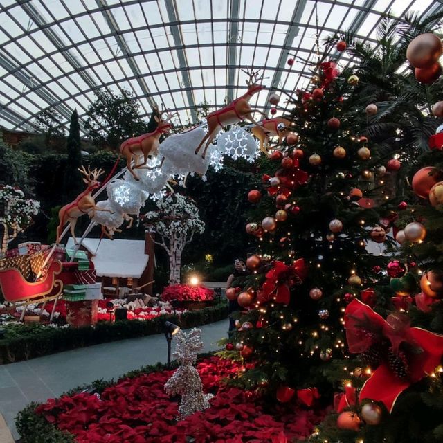 Christmas @ Flower Dome