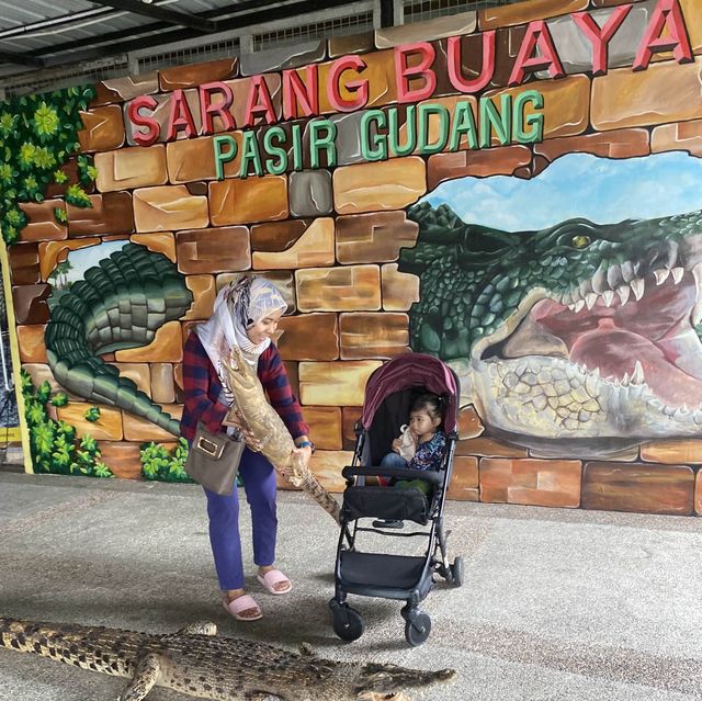 Good place to watch crocodile in live