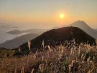 【秋冬賞芒系列~大東山🌾】
