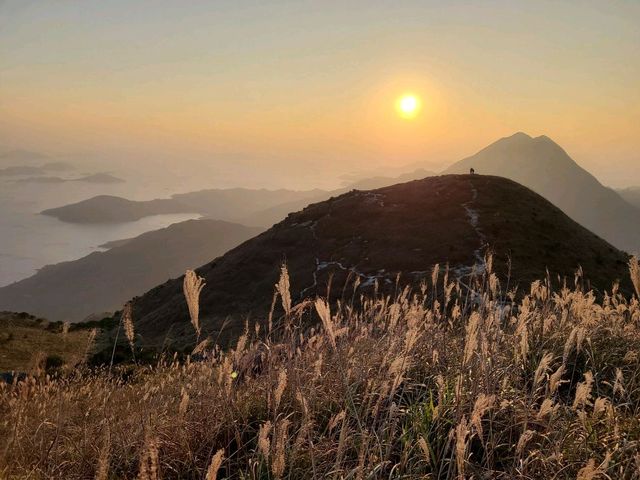 【秋冬賞芒系列~大東山🌾】