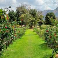  klang pana roses garden & cafe khaoyai