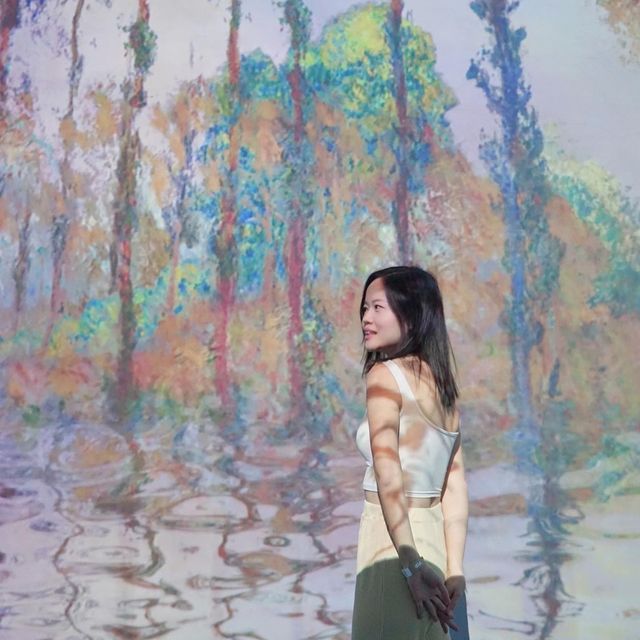 藝術🎨展:尋找足印.莫內 藝術🎨展:尋找足印.莫內
