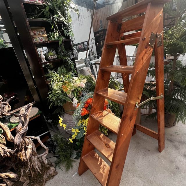 大埔林村隱世打卡植物園Botanic Union