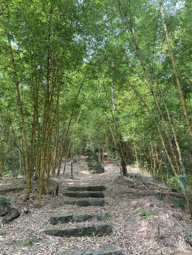 Tianzhu Mountain Forest Park 