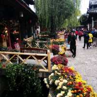 The best holiday in Lijiang, Yunnan, China