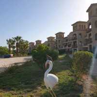 Pensee Royal Garden in Marsa Alam Egypt
