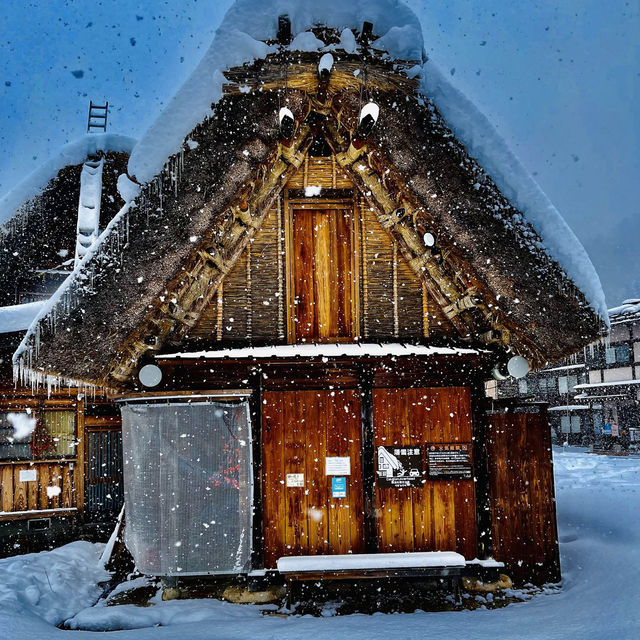 Snow Magic in Shirakawa-go