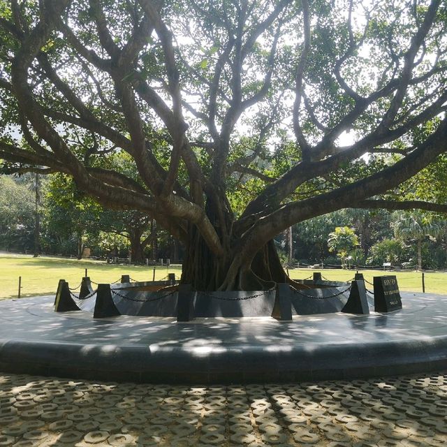 Fairy Lake, Xianhu Botanical Park