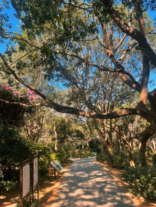 Nanwan Monkey Island🌴🙊🥥