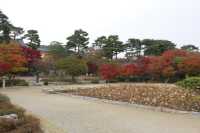 용인 호암미술관 산책하며 계절을 느껴요