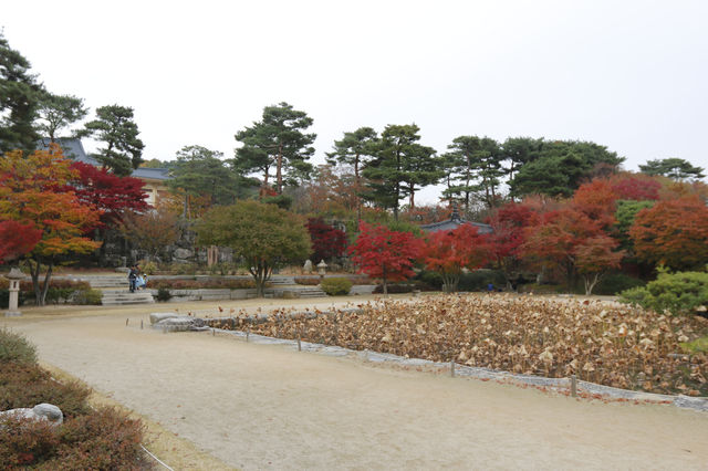 용인 호암미술관 산책하며 계절을 느껴요