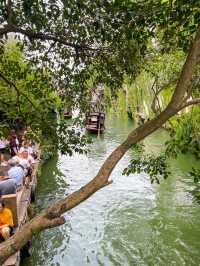 Canals in Wuzhen Water Town🛶🌳🌱