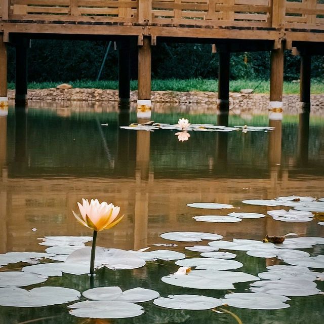 Beautiful Home, Pastoral Bao'an