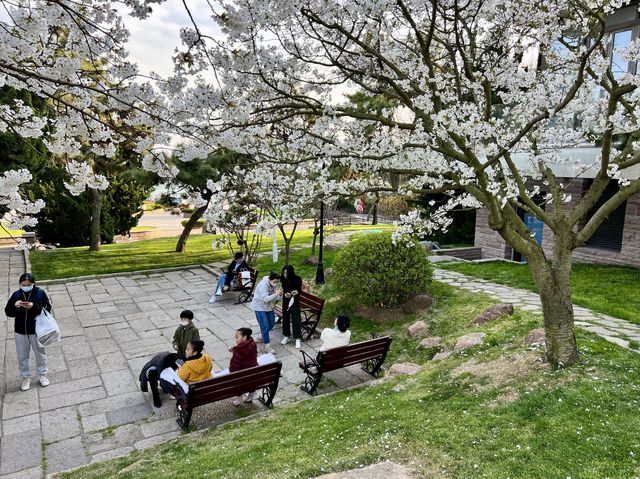 연인과 함께하기 좋은 귀여운 섬, 소청도 공원(小青岛公园)