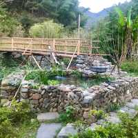 Qiandao Lake version of "Longing for Life", experiencing rural daily life.