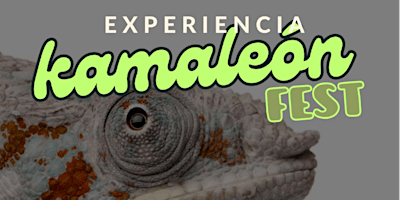 Experiencia Kamaleón Fest IX edición | Art Gallery Chez Xefo