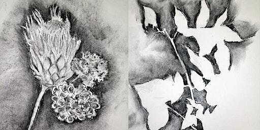 Art for the Afraid | Ascott-under-Wychwood
