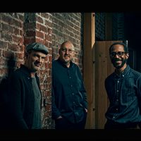 WOLFGANG MUTHSPIEL TRIO with BRIAN BLADE & SCOTT COLLEYのチケット(東京都・2024/10/5(土)) | COTTON CLUB
