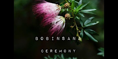 Bobinsana Plant Medicine Ceremony | ookushana Workshop