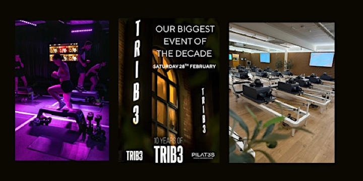 THE T.R.I | TRIB3 Sheffield